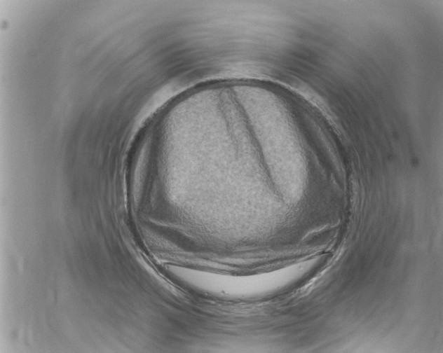 X0000061150982200512091955