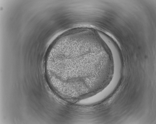 X0000061150983200512091955