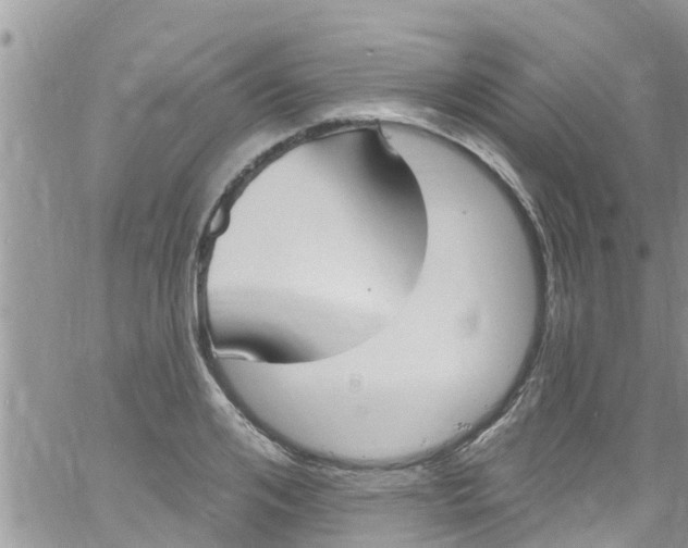 X0000061150984200512091955