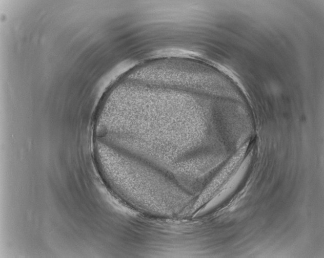 X0000061150987200512091955