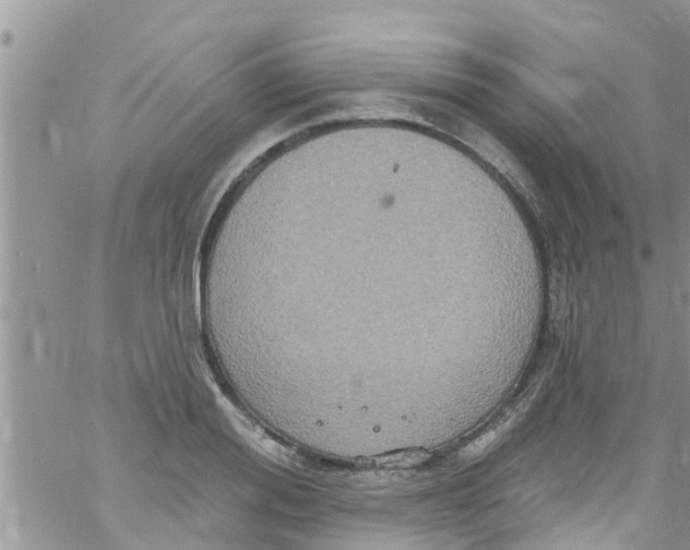 X0000061150988200512091955