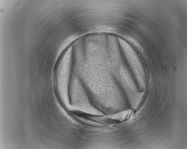 X0000061150990200512091955