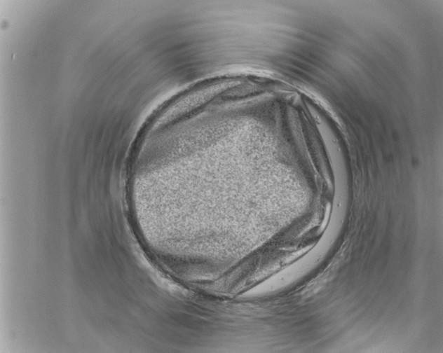 X0000061150991200512091955