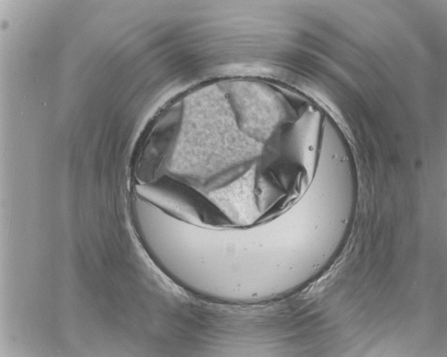 X0000061150992200512091955