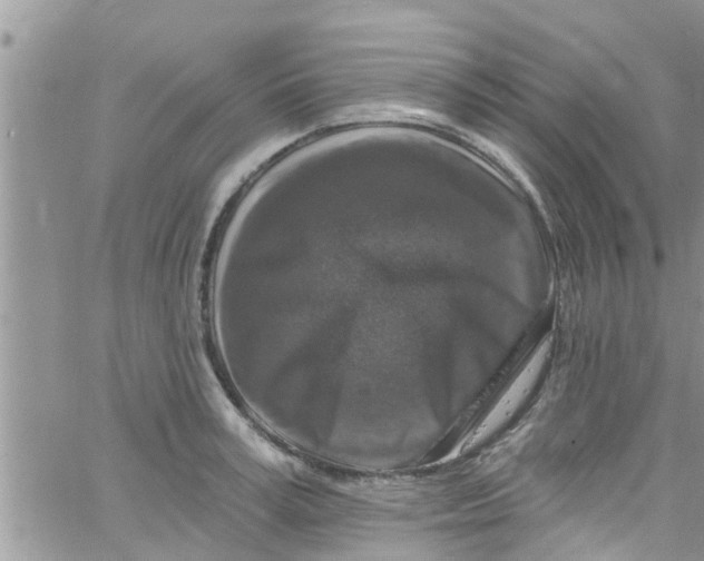 X0000061150995200512091954