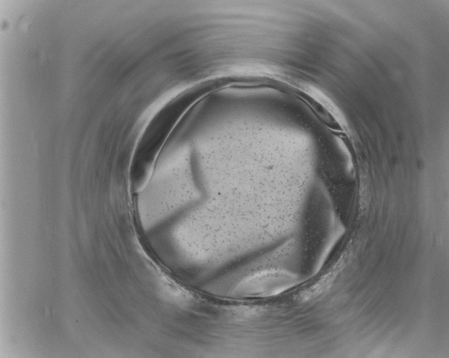 X0000061150996200512091954