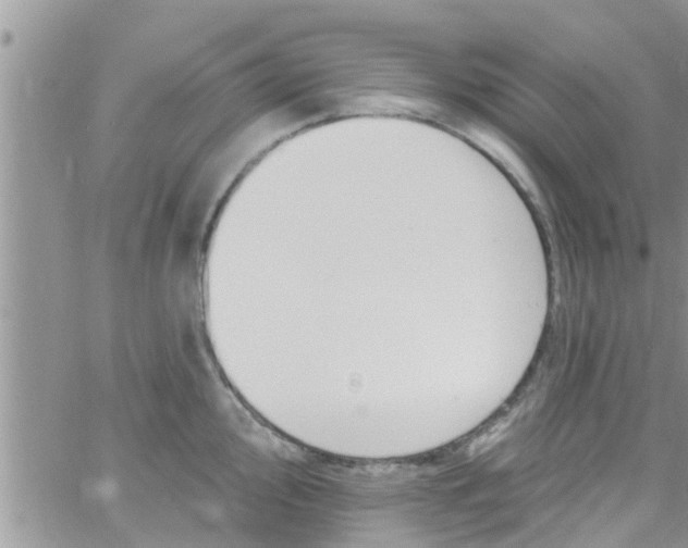 X0000061151000200512091954