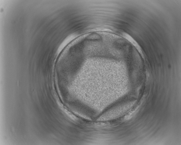 X0000061151002200512091954