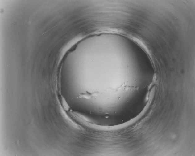 X0000061151003200512091954