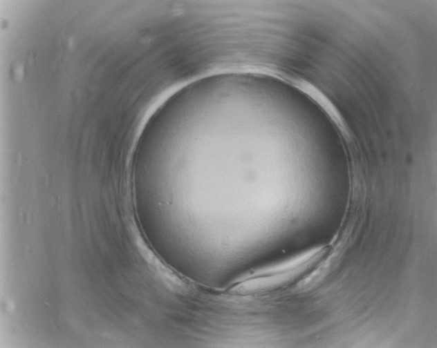 X0000061151004200512091954