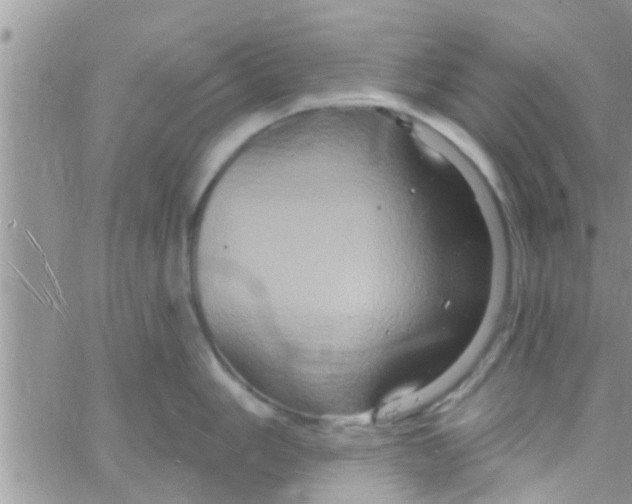 X0000061151006200512091954