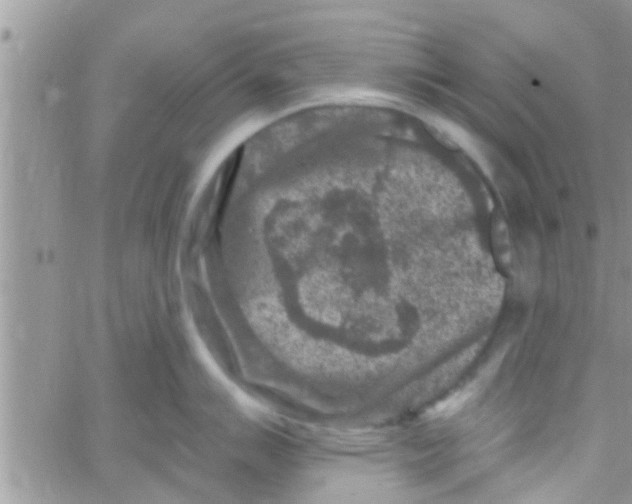 X0000061151007200512091954