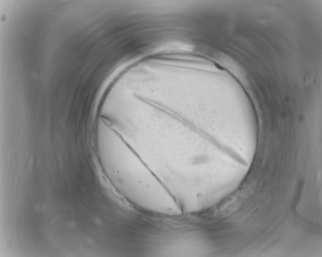 X0000061151008200512091954