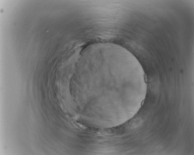 X0000061151009200512091953