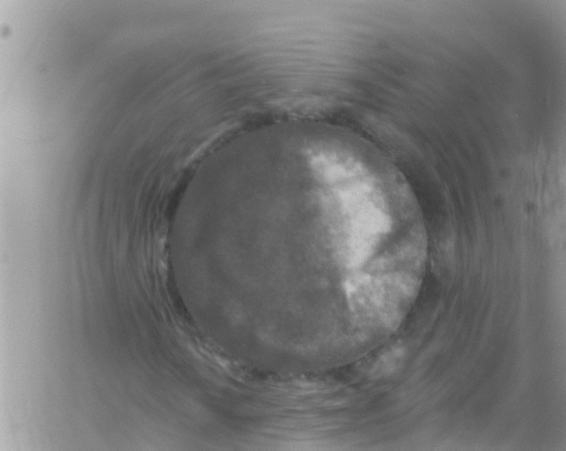 X0000061151010200512091954