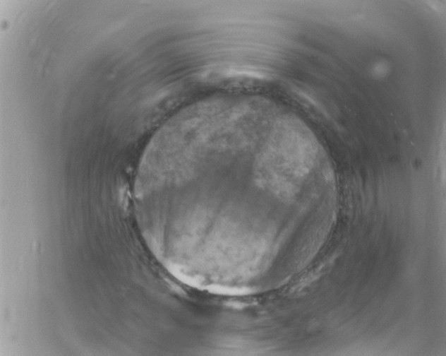 X0000061151013200512091954