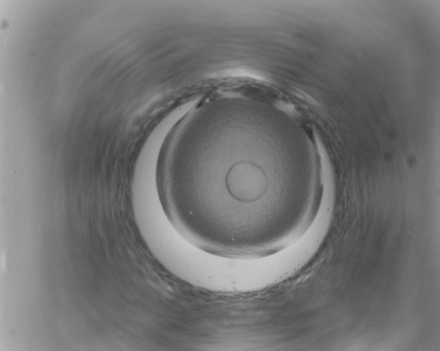 X0000061151014200512091954