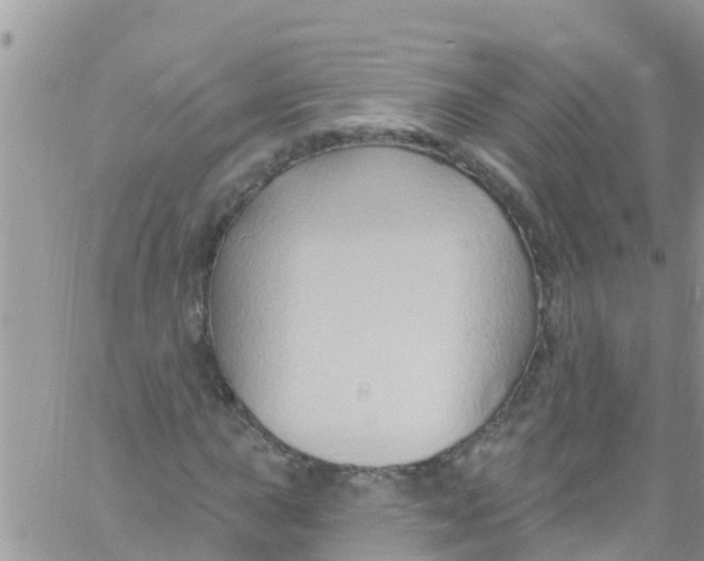 X0000061151015200512091954