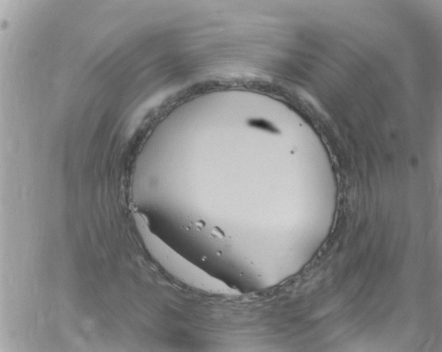 X0000061151016200512091954