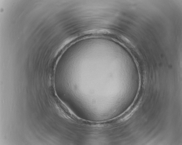 X0000061151017200512091954