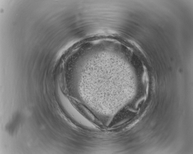 X0000061151018200512091954