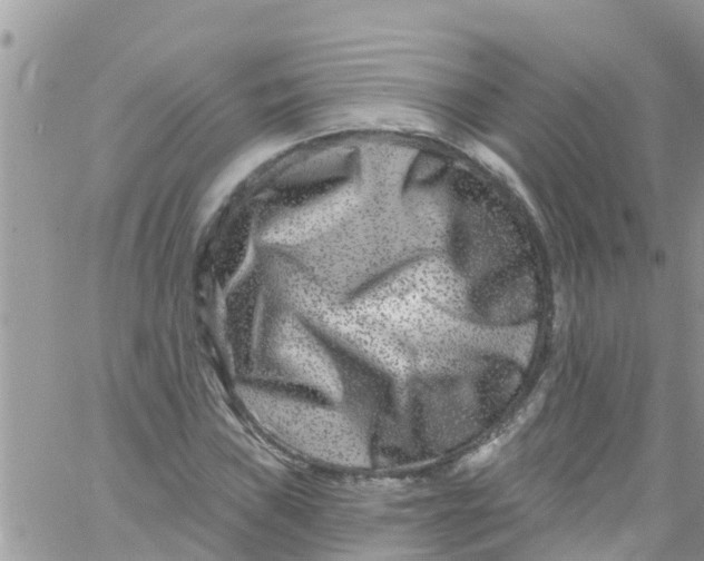 X0000061151019200512091954