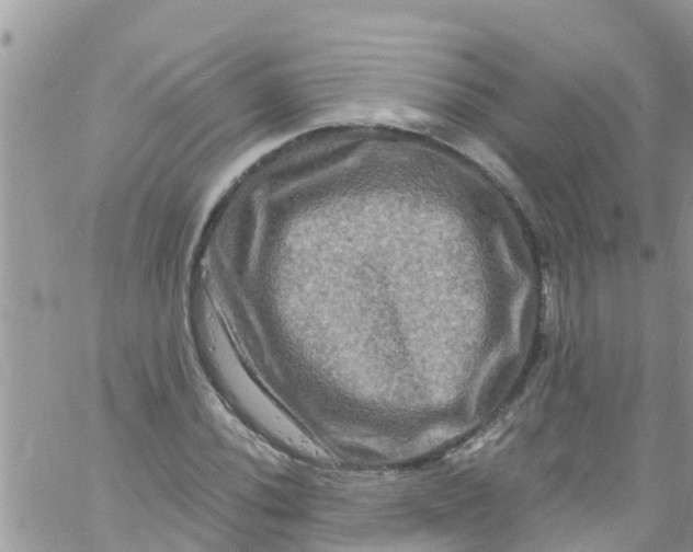 X0000061151020200512091954