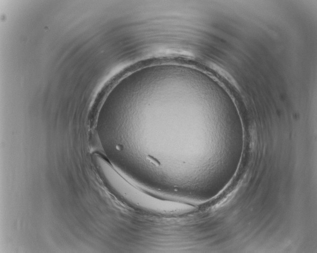 X0000061151021200512091954