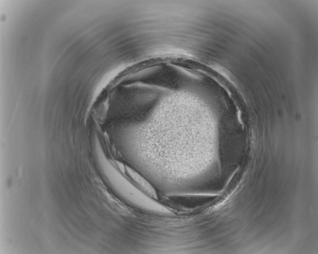 X0000061151022200512091954