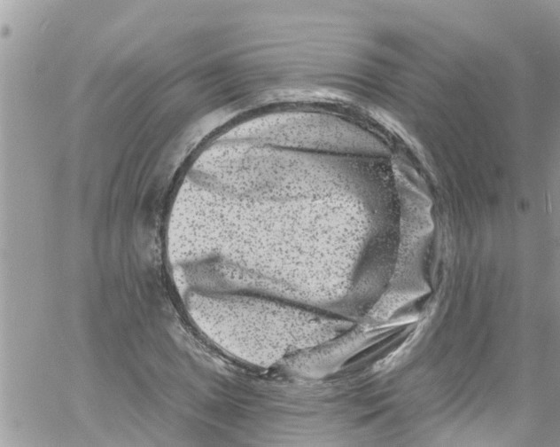 X0000061151025200512091954