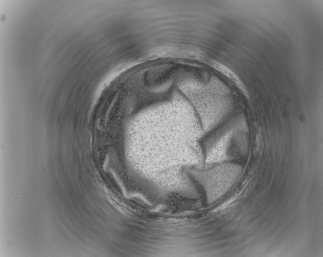 X0000061151027200512091954