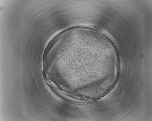 X0000061151028200512091954