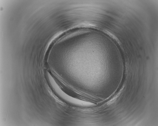 X0000061151029200512091954