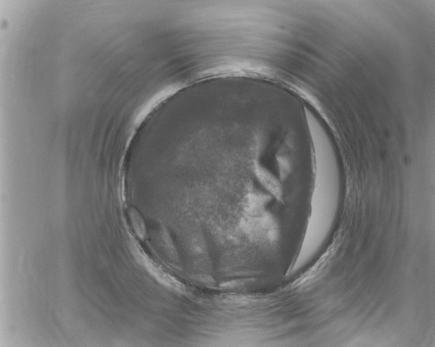 X0000061151034200512091954