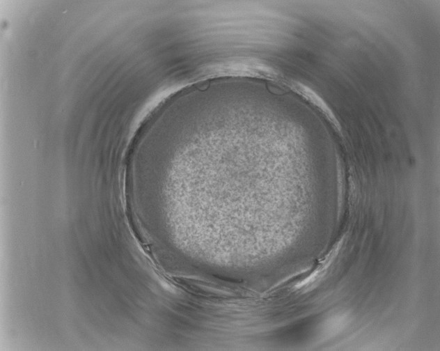 X0000061151035200512091954