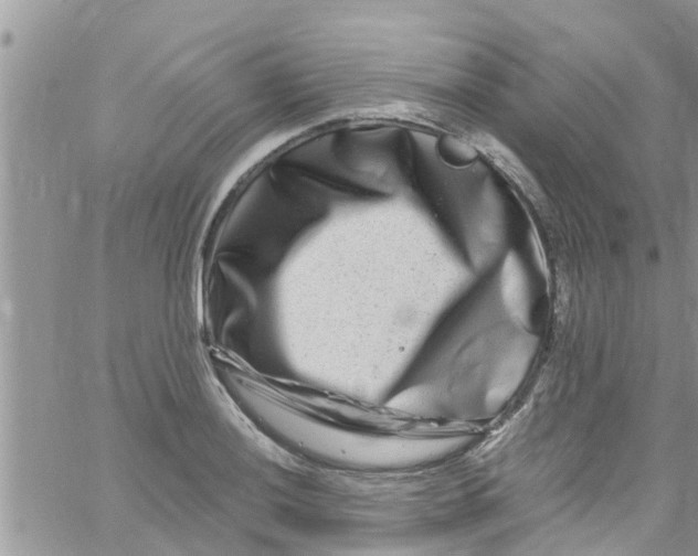 X0000061151036200512091954