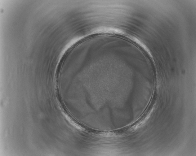 X0000061151037200512091954