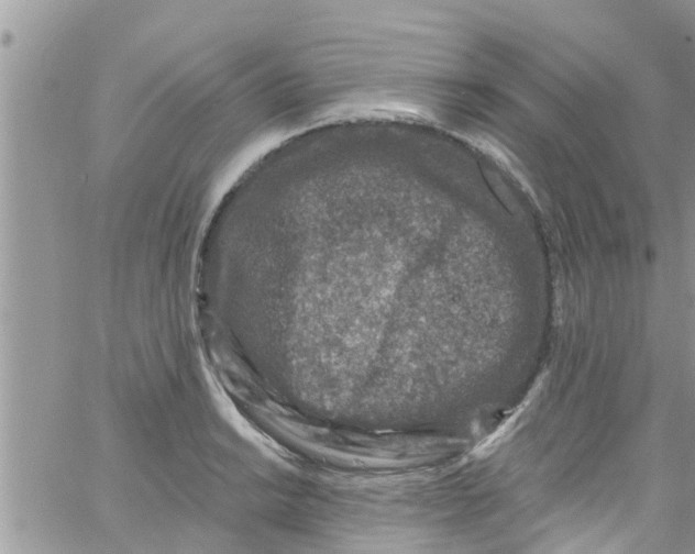 X0000061151038200512091954