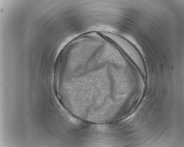 X0000061151040200512091954