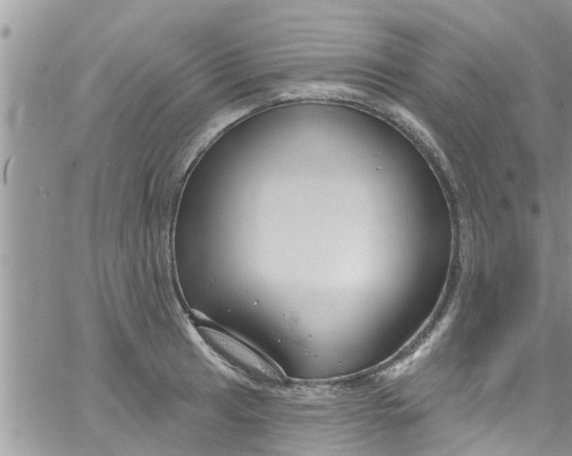 X0000061151041200512091954