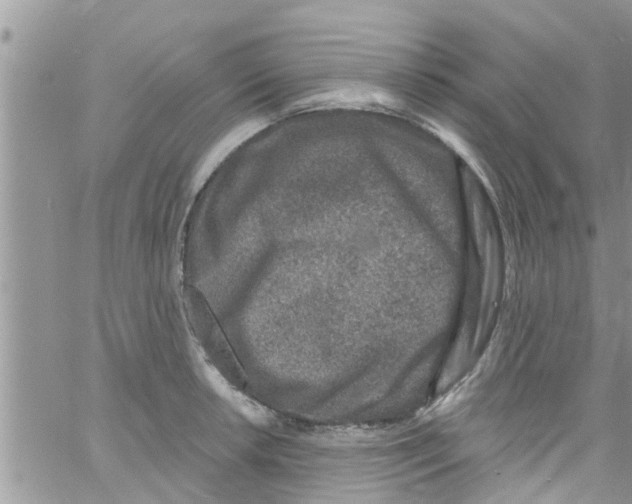 X0000061151042200512091954