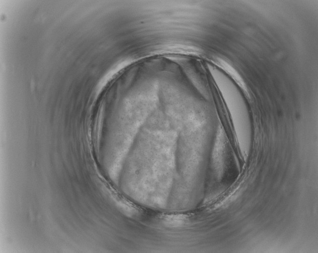 X0000061151043200512091954