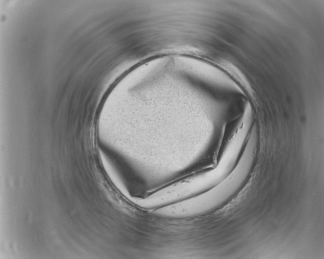 X0000061151044200512091954