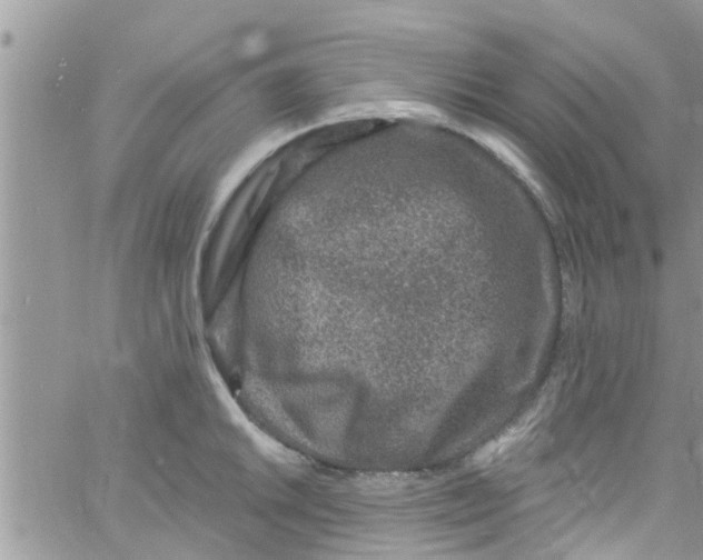 X0000061151046200512091954