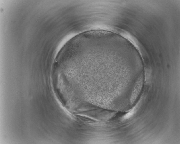 X0000061151048200512091954