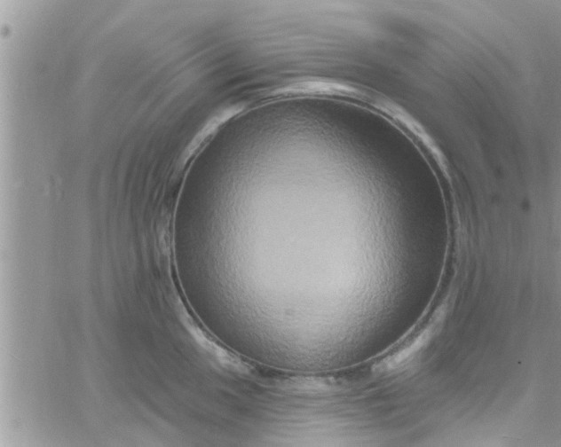 X0000061151049200512091954