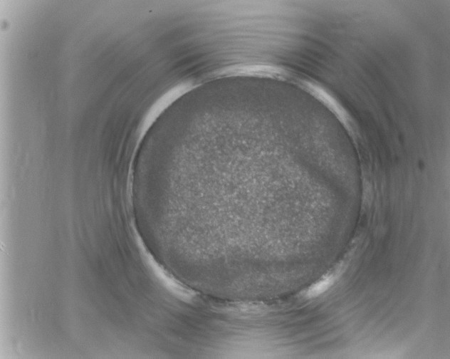 X0000061151050200512091954