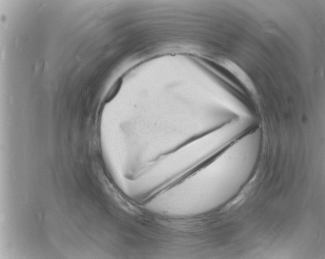 X0000061151052200512091954