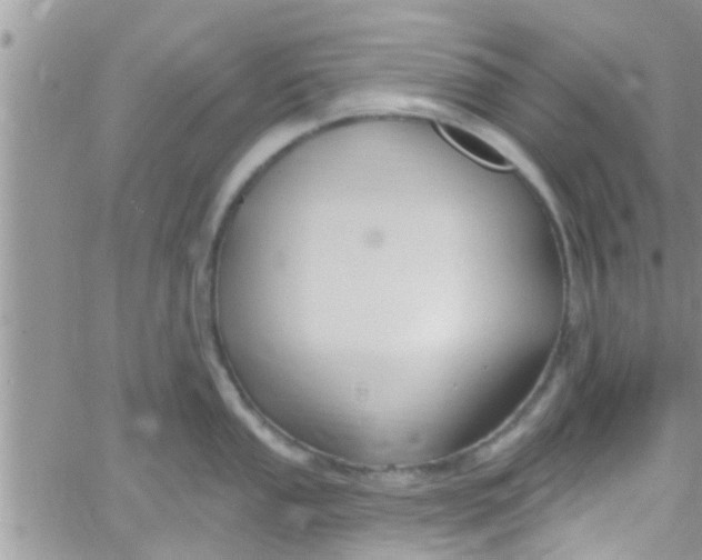 X0000061151053200512091954