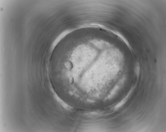 X0000061151054200512091954